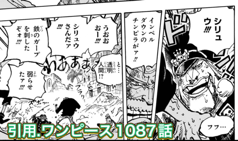 ワンピース1087 ガープとシリュウ
