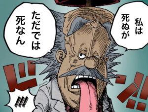 ベガパンク　2週間