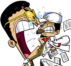 サカズキ　黄猿